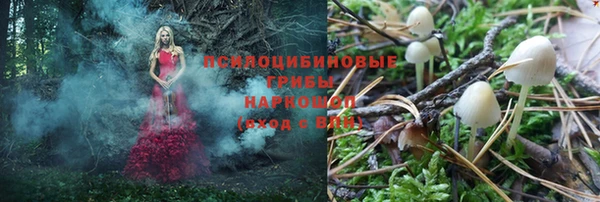 соль ск Горняк