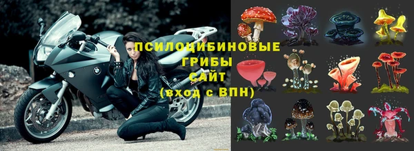 марихуана Горно-Алтайск