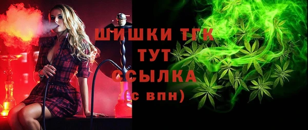 соль ск Горняк