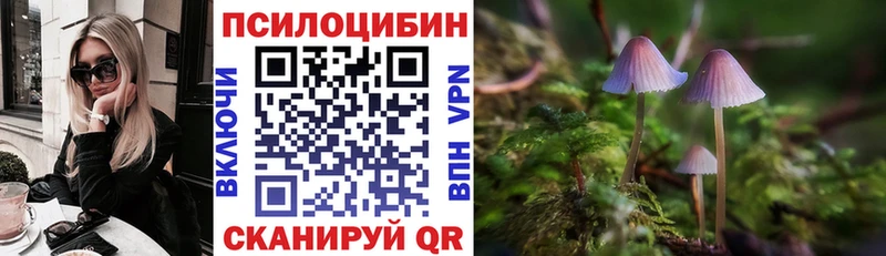 купить закладку  Десногорск  Псилоцибиновые грибы Cubensis 